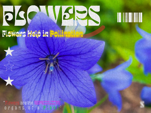 ▸ 〡Flowers〡Poster