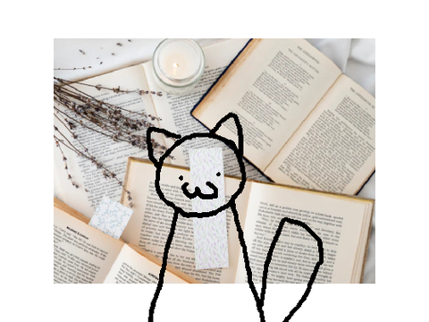 ♡ questions for book lovers !! ♡ ecbear21
