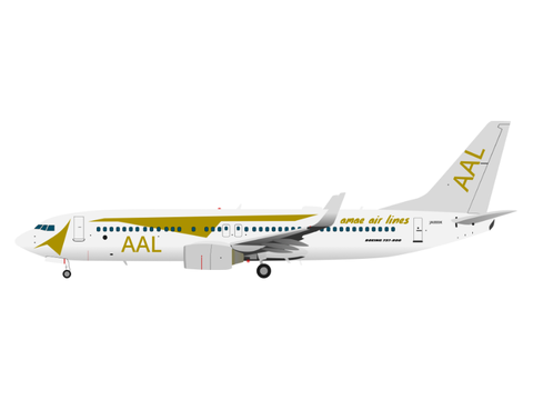 天江航空 B737-800