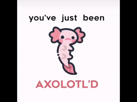 You've just been Axolotl'd (fillerrrrahh)