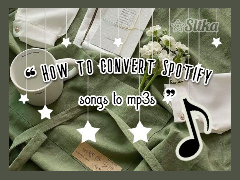 ➺How to convert Spotify songs to mp3s
