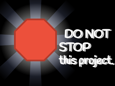 dont stop the project 