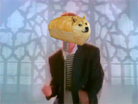 DOGE RICK ROLL