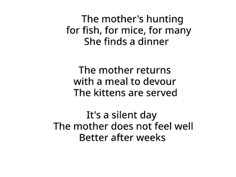 The Stray Kitten's Haiku
