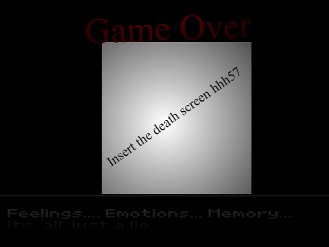 VHSN Game over