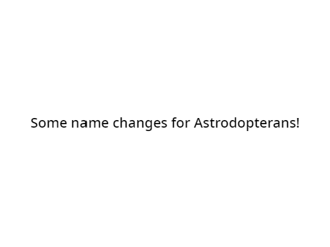 Name updates!