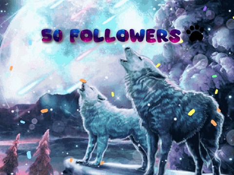 50 FOLLOWERS!!!