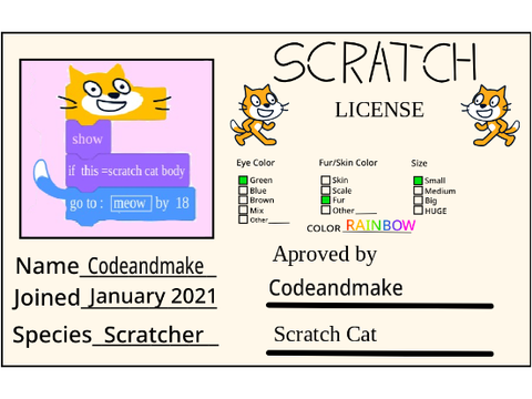 My Scratch License