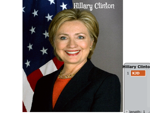 Who's Your Candidate remix