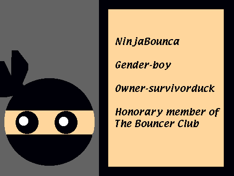 NinjaBounca