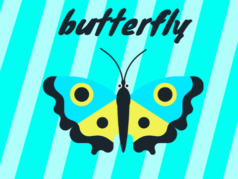 butterfly