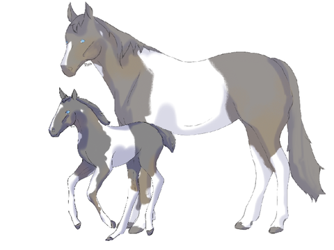 Foal for @GetYourStriding