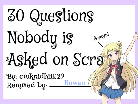 30 Questions Remix
