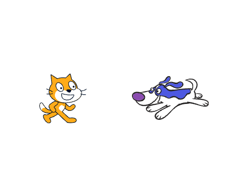 cats and dogs