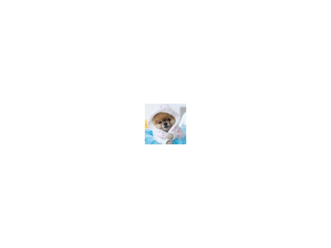 My new pfp!