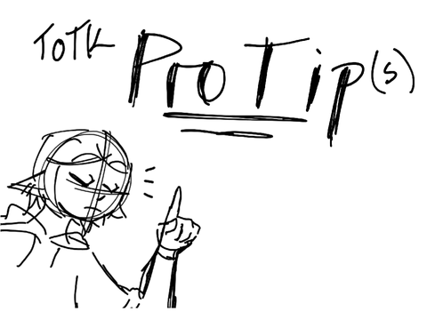 Pro Tip(s) — TOTK —
