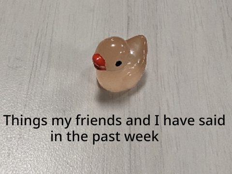 Things my friends and I have said in the past week 