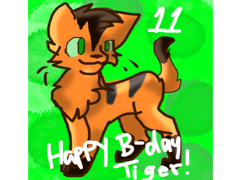 Happy Birthday, Tigerstorm5!