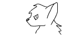 Test 1