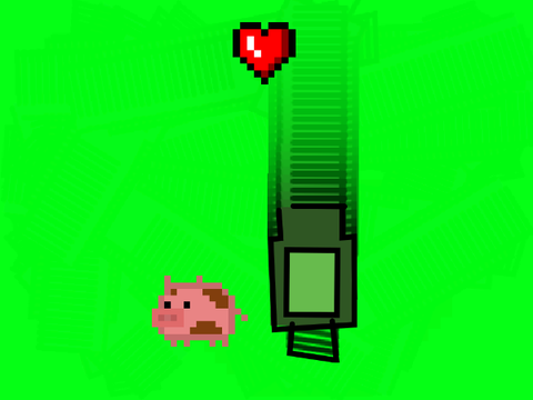 day in the life of pig