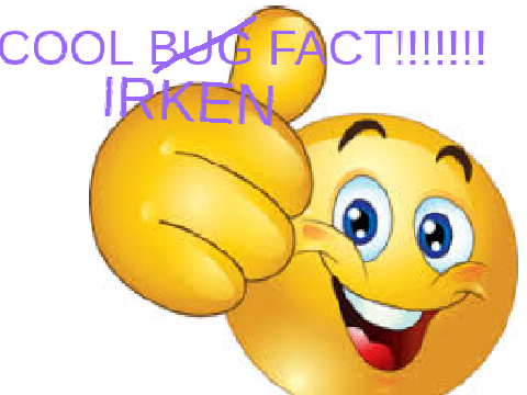 cool irken fact
