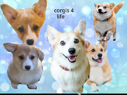 Banner contest 
