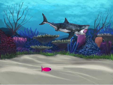 Shark Attack!