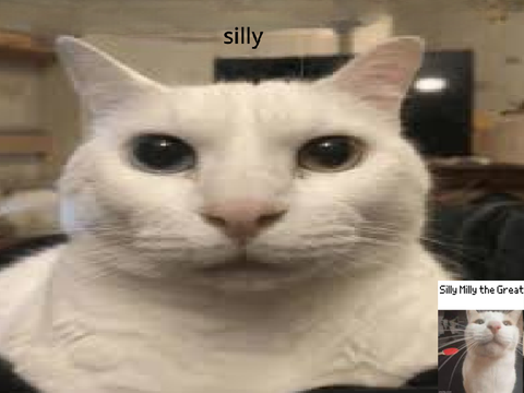 sillyism