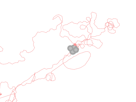 ai test