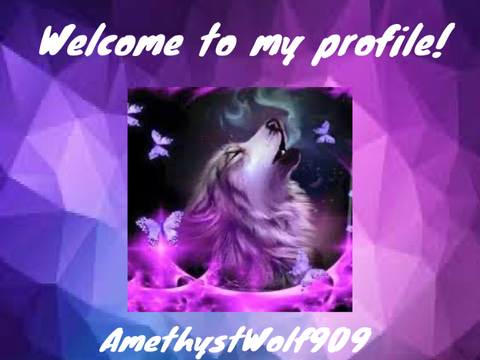 Banner For AmethystWolf909