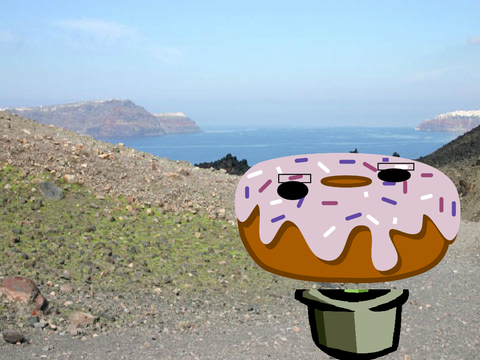 episode 1 of donut and cactus