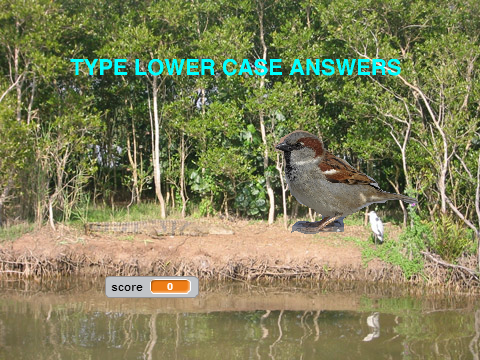LHE enviorment quiz