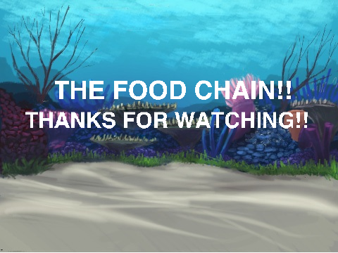 Food Chain