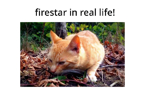 Firestar in real life