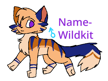 Oceanstorm & Summerfall’s Second Litter