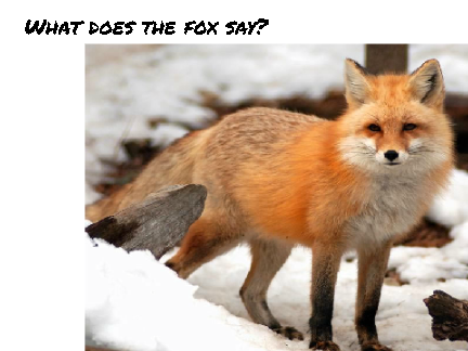 What does the fox say? remix