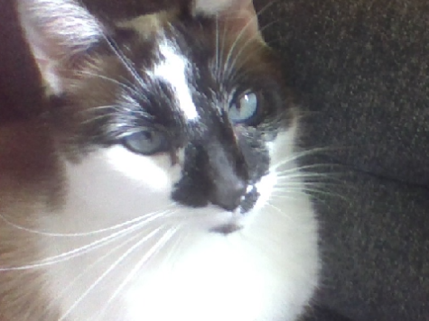 barry says hi ! <3