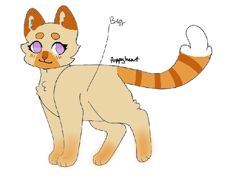  Poppyheart!!