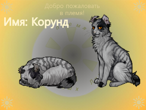 ☀︎Создай котика! СЛ☀︎ remix