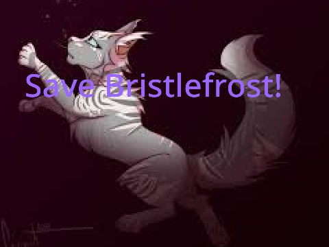 Save Bristlefrost! remix