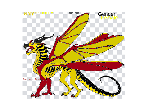 Hornet