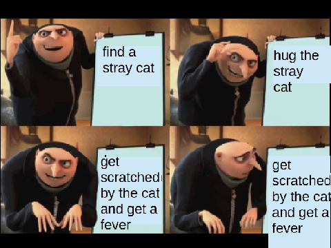 stray cats meme