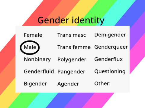 Lgbtq+ survey remix