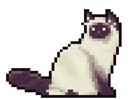 Siamese cat gif