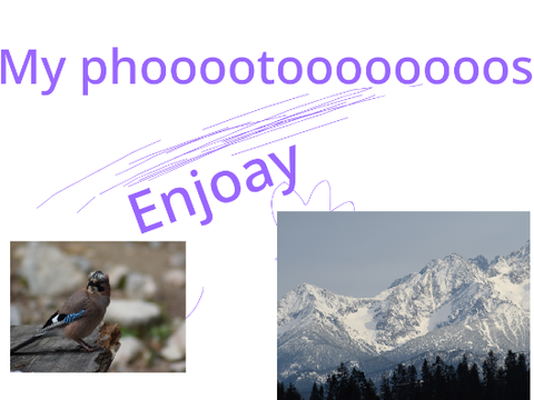 more el photos of el birdos - More bird photos!