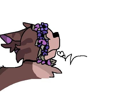 + For Flora_theflamingo +