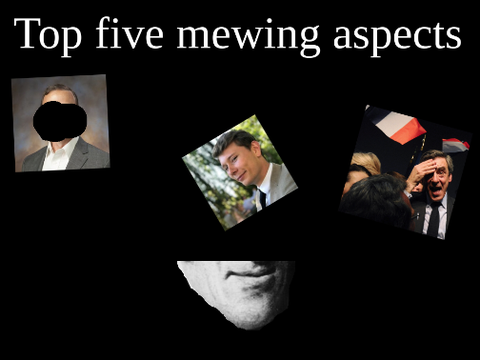 Top 5 Mew