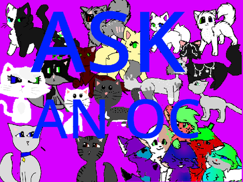Ask an OC!