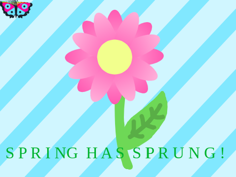 Spring Has Sprung!