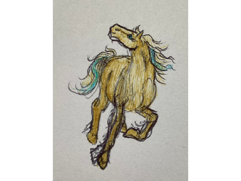 Ninjago based horses